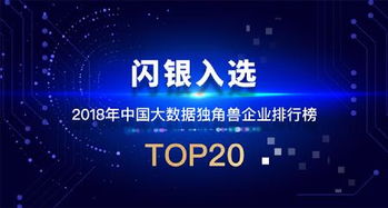 2018年中國大數據獨角獸企業20強發布 閃銀彰顯技術領航實力